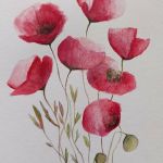 Maki 2-akwarela formatu 24/18 cm . - 