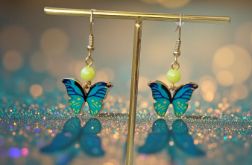 Turkusowo-niebieskie motyle