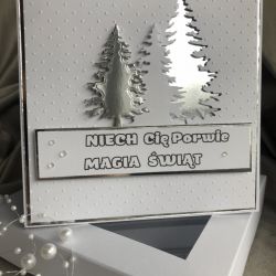 Kartka w pudełku! Voucher! Opakowanie świąteczne! Duży format! #2