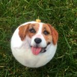 Bombka kolekcjonerska choinkowa  - Jack Russell terrier (10cm)  - Jack Russell terrier  pyszczek