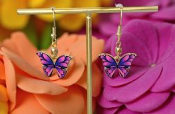 Szafirowo-różowe motyle