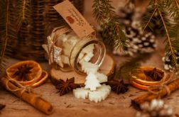 WOSKI SOJOWE DO KOMINKA CHOINKI O ŚWIĄTECZNYM ZAPACHU