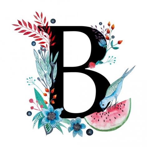 Alfabet B wydruk ilustracji