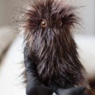 Bacca Nera Bacca Nera
