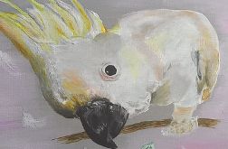 Papuga Kakadu obraz akrylowy