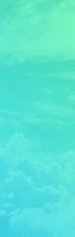 chusta_test 2