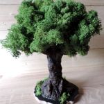 Eko drzewo - sama natura- mech chrobotek - 