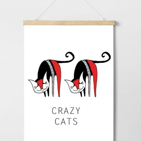 Plakat Crazy Cats A3