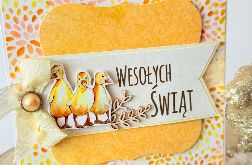 Z kaczuszkami (vol.1)