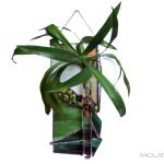 Zielony zakątek + mini-wazonik - nietuzinkowy wazonik