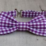 Muszka chłopięca - 