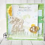 Koronkowy zajączek  - null