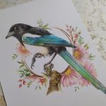 Sroka w kwiatach, ilustracja ręczna kredka A4 - Ilustracja: ptaki. Sroka w kwiatach