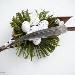 Ptasie gniazdo w łupinie - 