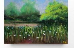 Pejzaż-praca formatu - 18x24 cm .