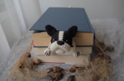 Zakładka do Książki BULDOG