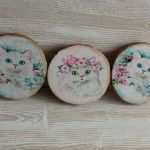 Naturalne plastry drewna z kotkami - Oryginalne kotki na drewnianych  plastrach