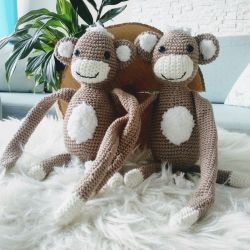 Małpki  bliżniaki