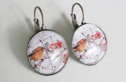 Ptaszek: kolczyki 18 mm