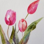 Tulipany-akwarela formatu 32/24 cm   - 
