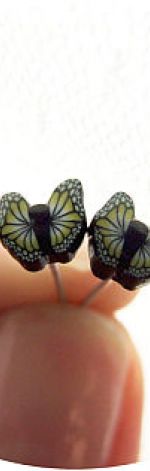 czarne motyle