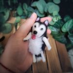 Zakładka do książki 3D - Husky - 