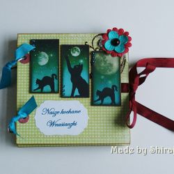 Koci folder na CD- dla P. Donaty