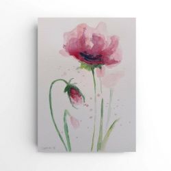 Maki 3-akwarela formatu 24/18 cm 