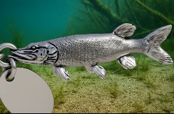 Szczupak