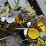 Wianek wiosenno wielkanocny naturalne żółte akcenty - Prawdziwe skorupki