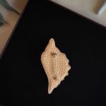 3D Broszka muszla, Artystyczna broszka haftowana, Biżuteria na prezent - Broszka ma solidne japońskie zapięcie (typu agrafka) ze stali nierdzewnej z obrotowym zabezpieczeniem, które zapobiega jej zgubieniu. - Zapięcie w kolorze srebrnym. - Tył broszki wykonany jest z matowej skóry ekologicznej, kolor beżowy.
