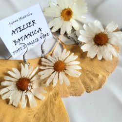 Komplet z margaretkami ogrodowymi