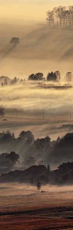 Jesienny pejzaż we mgle