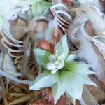 Aniołki z zieloną poinsecją  - Zbliżenie na aniołka