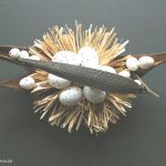 Ptasie gniazdo w łupinie - odsłona druga - 