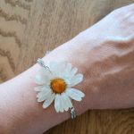 Komplet z margaretkami ogrodowymi - 