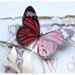 Kartka na ślub z motylkiem - 