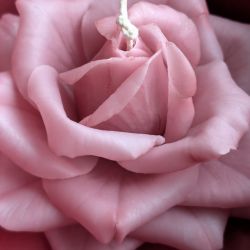 Świeca kwiat róży lepiona z wosku pszczelego