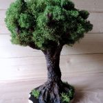 Eko drzewo - sama natura- mech chrobotek - 