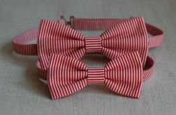 Zestaw much - Tata i syn