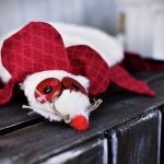 MASKOTKOWY MYSZOR ANTEK - Z bliska