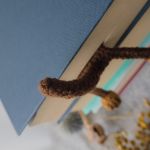 Zakładka do Książki CZEKOLADOWY JAMNIK - 