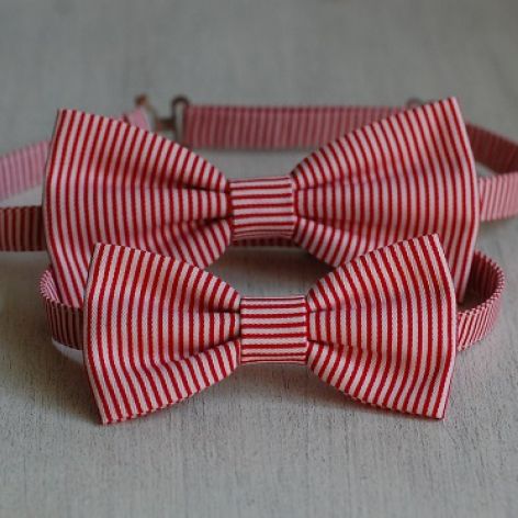 Zestaw much - Tata i syn