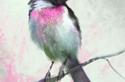 Obraz - Dotyk wiosny - Ptak, pastelowy - płótno