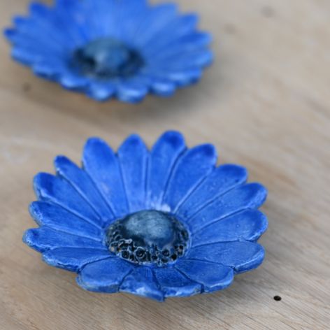 Niebieska margaretka typ 02