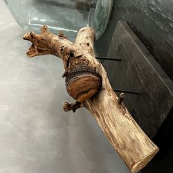 Naturalna rzeźba drewno z hubą - Wabi Sabi 