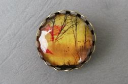 OSTATNIE DNI !!! Jesień -BROSZKA 1