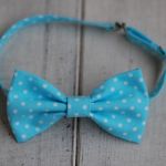 Muszka chłopięca - 