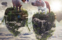 Buldog z hipopotamem 02_2017