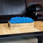 Mech chrobotek w szczotkowanej donicy - Blue - 